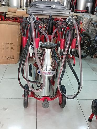 Аренда оборудования: Одиночный бидон, Турция, Нержавеющий бидон — 6