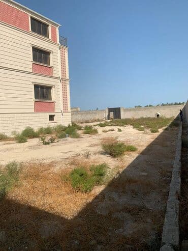 türkanda torpaq: Təcili!!!Dəyərindən qat-qat ucuz!!! Türkan, Bağlar massivi, dənizin — 4