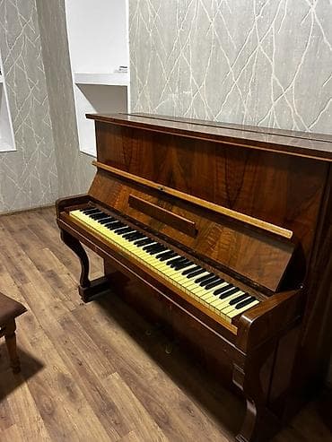 Velosiped ehtiyyat hissələri: Piano, Akustik — 2