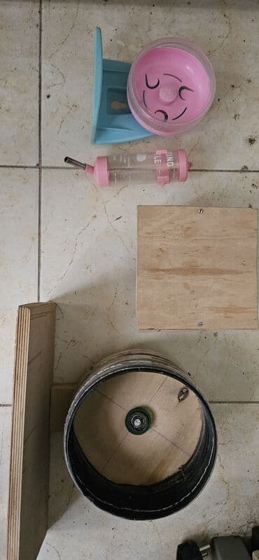 енот в баку купить: Ayın 19 /31 kimi narahat eliyə bilərsiz — 3