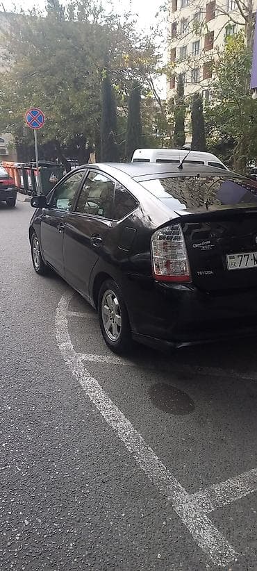 Tayuta piurus hibrit guni 25 yaq surciliy depazit var Texniki