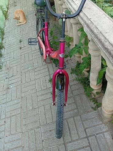 Şəhər velosipedləri: Şəhər velosipedi Aist, 20", sürətlərin sayı: 1 — 2