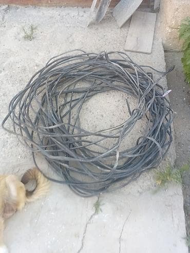 Məhsul: Elektrik kabeli dəstəsi (rulet şəklində) Təsvir: - Xarici — 2