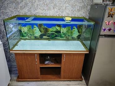Akvaryum və şkaf dəsti(130x50x50) Şüşə 10-luqdur, şkafın qapağıda var
