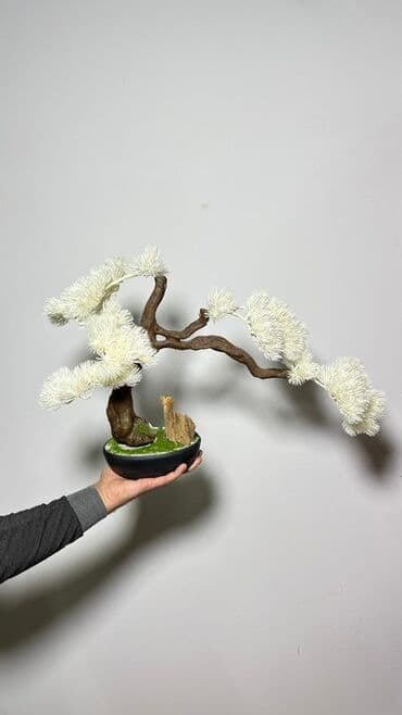 budda: Süni bonsai ağacı – dekorativ içməkan yaşıllaşdırma üçün - Realistik — 32
