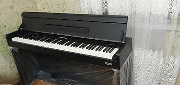 Музыкальные инструменты: Пианино, Цифровой, Новый, Самовывоз — 9