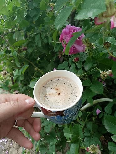 Təsvir: - Təbii mənzərə ilə əhatələnmiş kənd həyəti və kiçik fermada