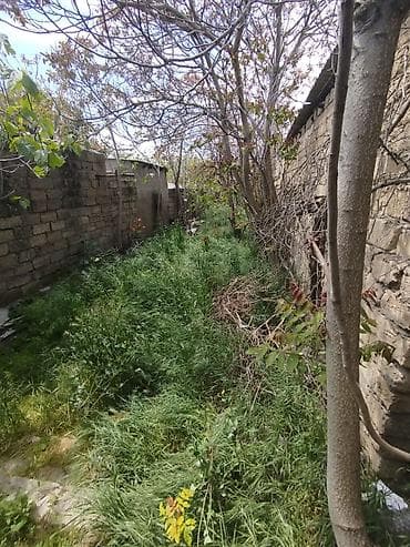 xacmazda satilan torpaqlar: Binə 2 otaqlı, 33 kv. m, Kredit yoxdur, Orta təmir — 6