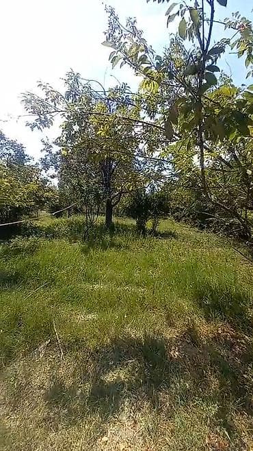 ev alqi satqisi baki 2 otaqli: 4 otaqlı, 3000 kv. m, Kredit var, Orta təmir — 4