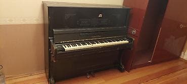 Gitaralar: Islenmis,, yaxsi veziyyetdedi — 1