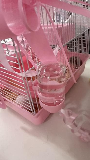 Hamster üçün qəfəslə komplekt dəst - Rəng: açıq çəhrayı/ağ - — 4
