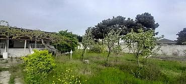 torpa: Tikinti, Kupça (Çıxarış) — 4