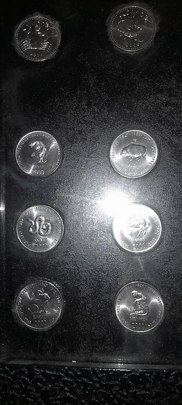 Somali 2007 ci il.il və ay burcler hesr llunmuș monetler.24 eded — 2