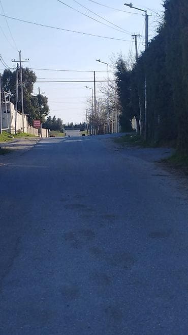 3 sot, Tikinti, Maklerlər narahat etməsin, Kupça (Çıxarış)
