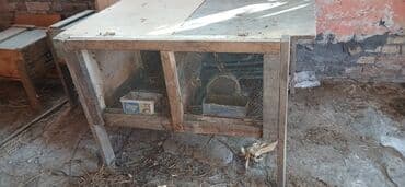 it ucun qəfəs: Dovşan üçün ikili qəfəs - Material: taxta karkas, üstü taxta/qalın — 8