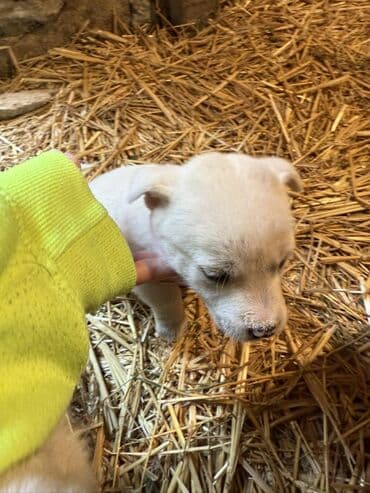 Toyota: 1 месяц — 9