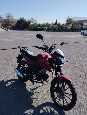 moped tufan m50: Tufan - m50n, 50 sm3, 2024 il, 1000 km — 3