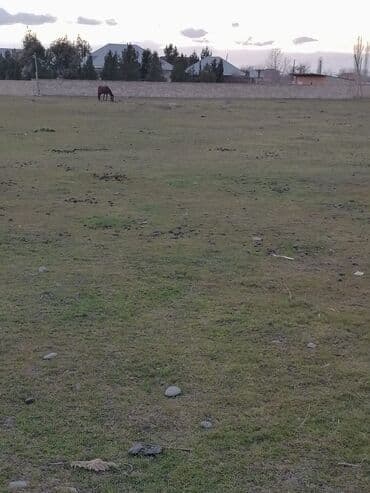 Lincoln: 20 соток, Для строительства, Собственник, Купчая — 3