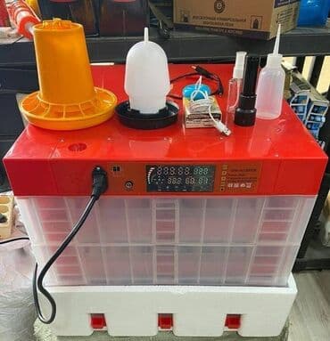 İnkubatorlar: Inkubator inkubatorlarin birinci əl satişi unversal inkubator — 1