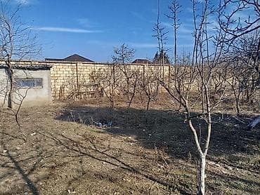 absheron: 4 sot, Tikinti, Maklerlər narahat etməsin, Kupça (Çıxarış) — 2