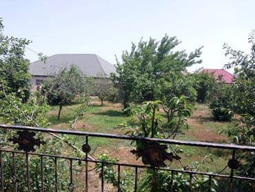 təcili ev: Novxanı 7 otaqlı, 230 kv. m, Təmirsiz — 6