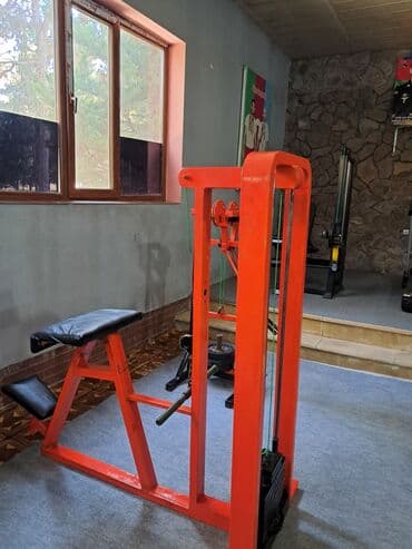 купить скейт круизер: Peşəkar trenajor dəsti – zal üçün ağır polad konstruksiyalı güc — 3