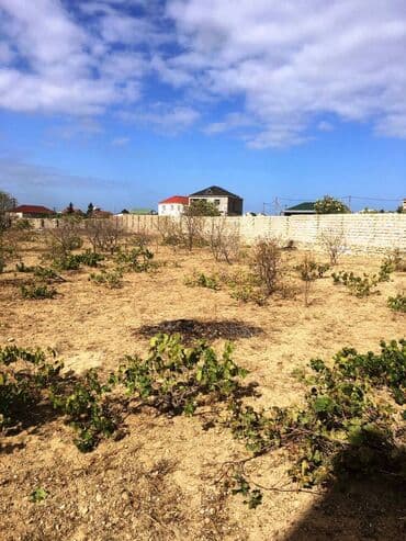 ist petrol tbilisi prospekti: 25 sot, Tikinti, Kupça (Çıxarış) — 3