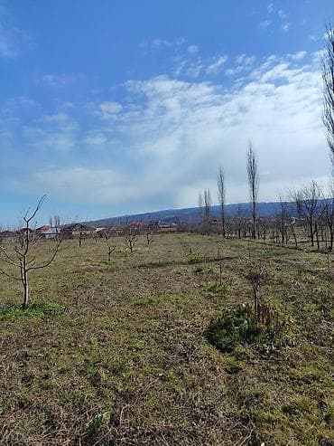 gencede torpaq satilir: 23 sot, Tikinti — 3