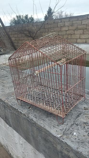 Məhsul: Metraldan quş qəfəsi - Material: möhkəm metal barmaqlıqlar