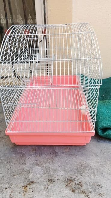 Digər Avtomobillər: Quş qəfəsi – geniş ölçülü, ağ metal barmaqlıqlar və çəhrayı/plastik — 1