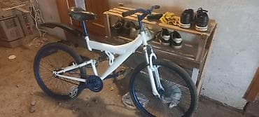 Şəhər velosipedi 24", sürətlərin sayı: 1