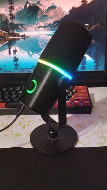 5 ci sinif ingilis dili kitabi lugeti: USB/XLR studiya mikrofonu – RGB işıqlı Kompüter noutbuk telefon v.s — 4