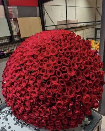 dua gülü: Ən ucuz rozalar bizdə
1 ədəd roza 2 azn — 3