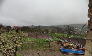 ev alqi satqisi zabrat 1: 20 sot, Kənd təsərrüfatı — 2