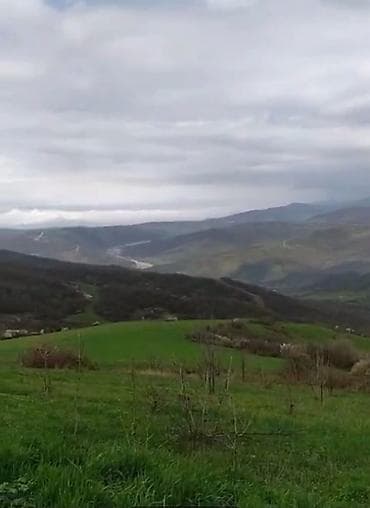 ev alqi satqisi zabrat 1: 6 sot, Tikinti, Mülkiyyətçi, Kupça (Çıxarış) — 3