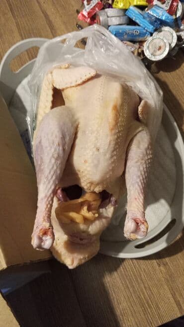 Dişi, Kanada, Ətlik, Pulsuz çatdırılma