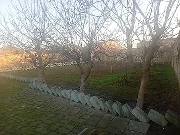 alatava 2: 3 sot, Tikinti, Maklerlər narahat etməsin, Kupça (Çıxarış) — 3