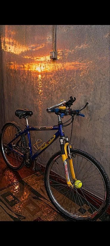 velosiped bmw: Almanyadan gəlib öz sıfır qiyməti 1400 manatdır amma indi 550 manata — 2