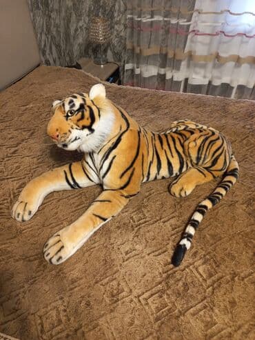 şalvar qız üçün: Pelenk unvan Gence seheri — 3