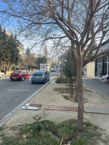 hostel for sale in baku: Yeni temirden cixmiw obyekt icareye verilir. Nesireddin tusi kucesinde — 5