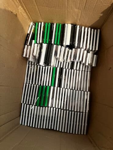 rus papağı: Süni kipriklər — 4