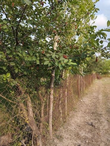 günəşlidə 2 otaqlı evlər: QUBA. Şəhərin girəcəyində Quba mərkəzinə 1 kilometr yaxınlığda, Ərazi — 4