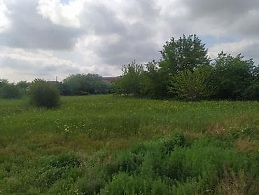 cepis satisi: 22 sot, Tikinti, Barter mümkündür, Kupça (Çıxarış) — 1