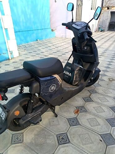 elekdirikli sukutur: - AIMA, 2024 il — 1