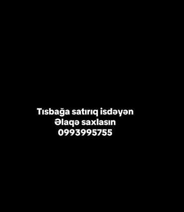 hamster evi: Tısbağa satışı. - Ev üçün sakit və az qayğı tələb edən ev heyvanı. - — 1