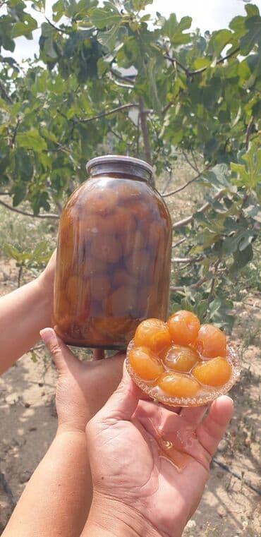 ağ gilas mürəbbəsi: PİRŞAĞI BAĞLARINDAN “BAL KİMİ” ƏNCİR MÜRƏBBƏSİ - Məhsul: Bütöv — 2