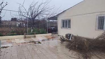 şeki: 7 sot, Mülkiyyətçi, Kupça (Çıxarış) — 10