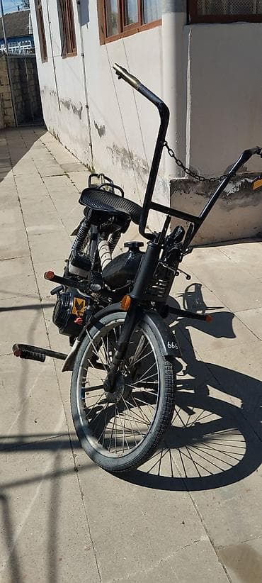 zigzag moped: - JACKAL 200 sm3, 2024 il, 666 km — 6