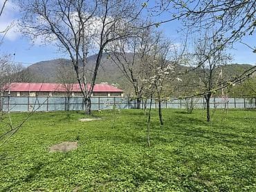 10 sot, Biznes üçün, Mülkiyyətçi, Kupça (Çıxarış)