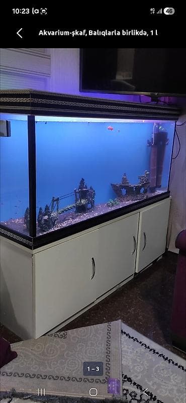 akvarim: Аквариум-шкаф, Вместе с рыбами, 250 л, Самовывоз — 2